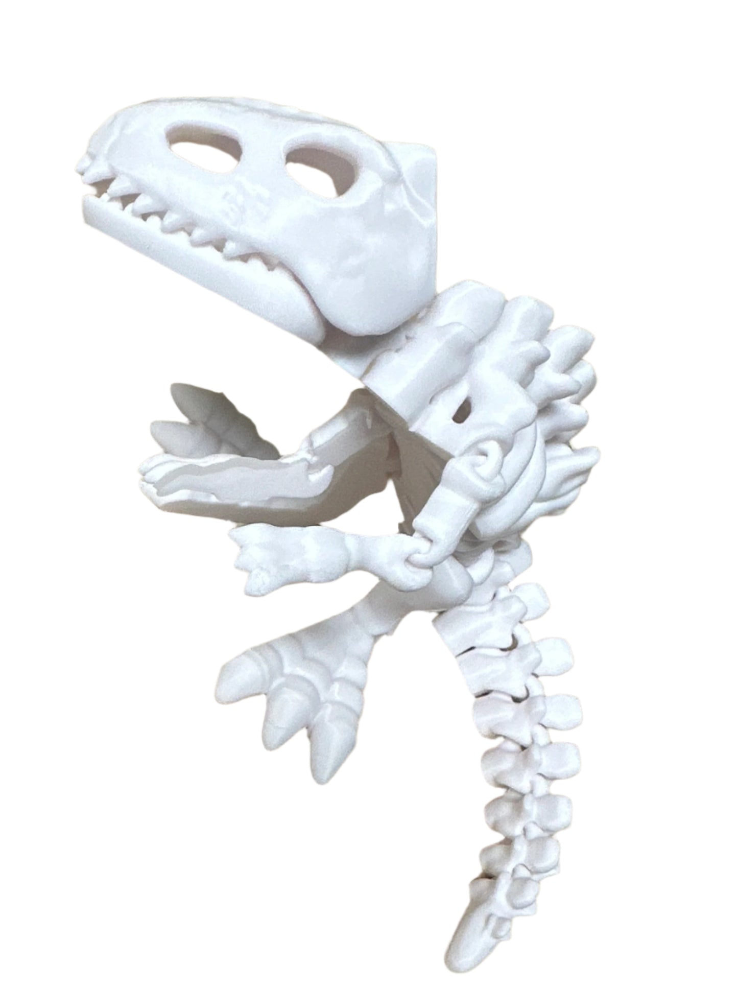 3D Dinosaurs