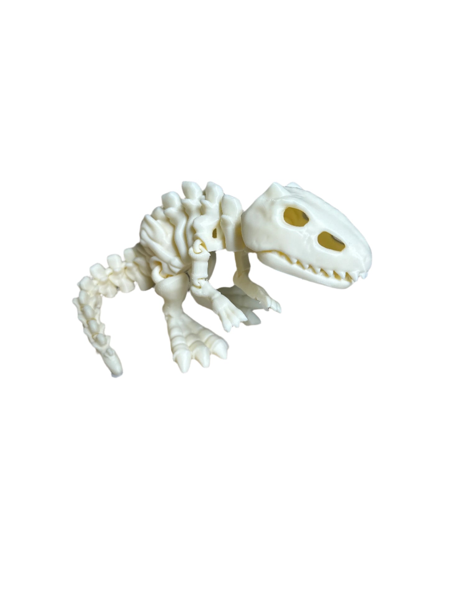 3D Dinosaurs