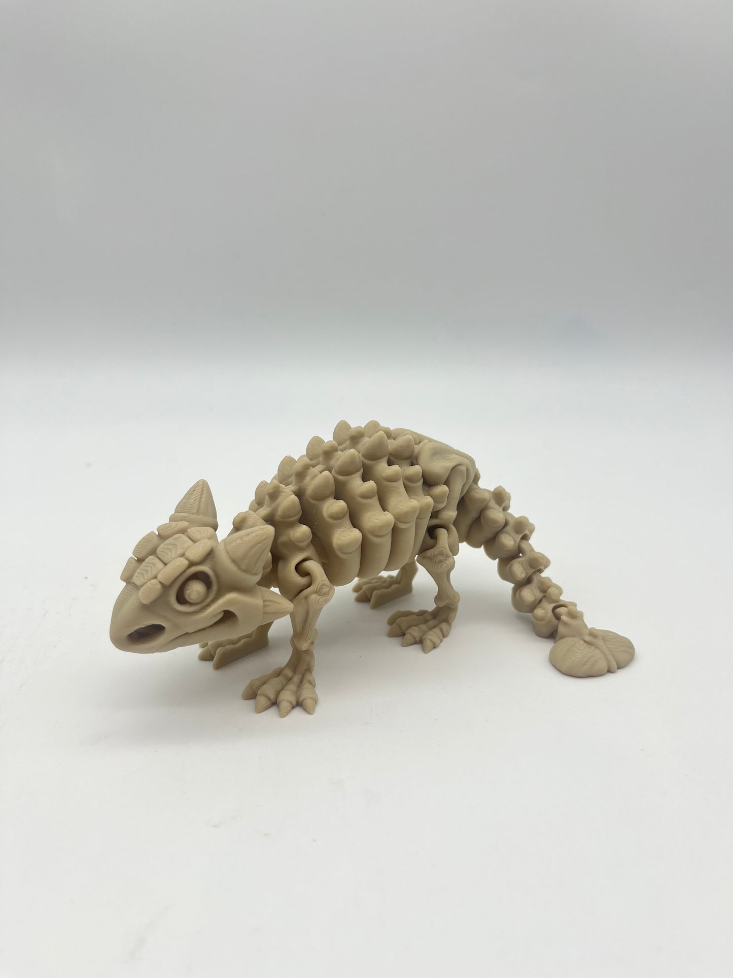 3D Printed Skeletons