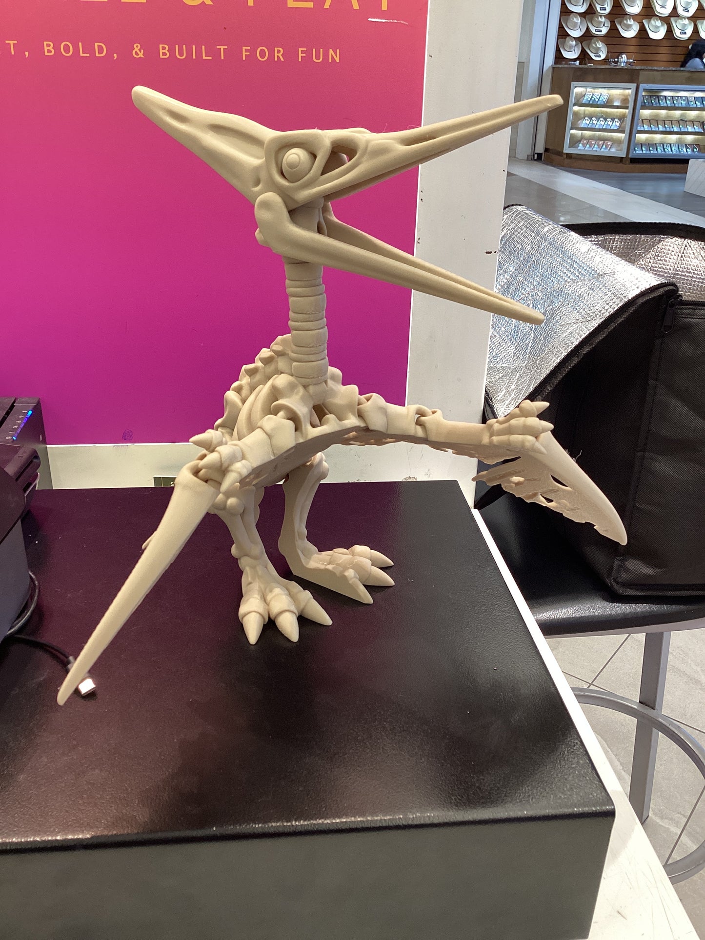 3D Printed Skeletons