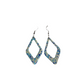 Fashion acrylic earrings - assorted designs
