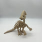 3D Printed Skeletons