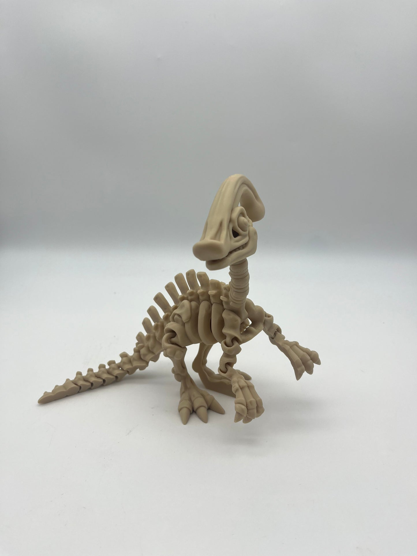 3D Printed Skeletons