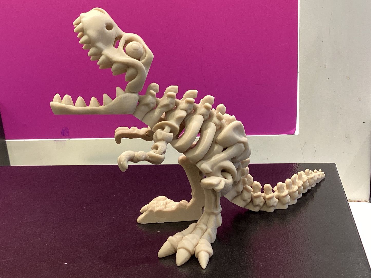 3D Printed Skeletons