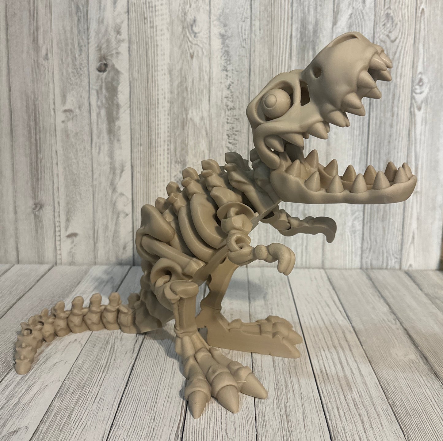 3D Dinosaurs
