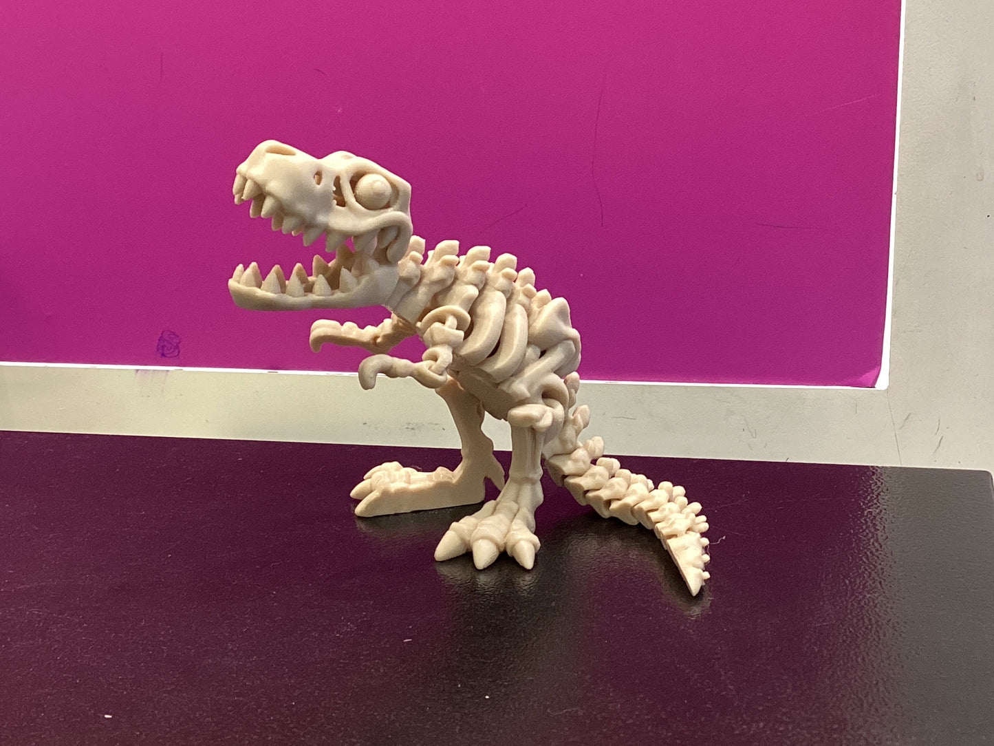 3D Printed Skeletons