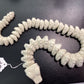 3D Printed Skeletons