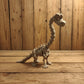 3D Printed Skeletons