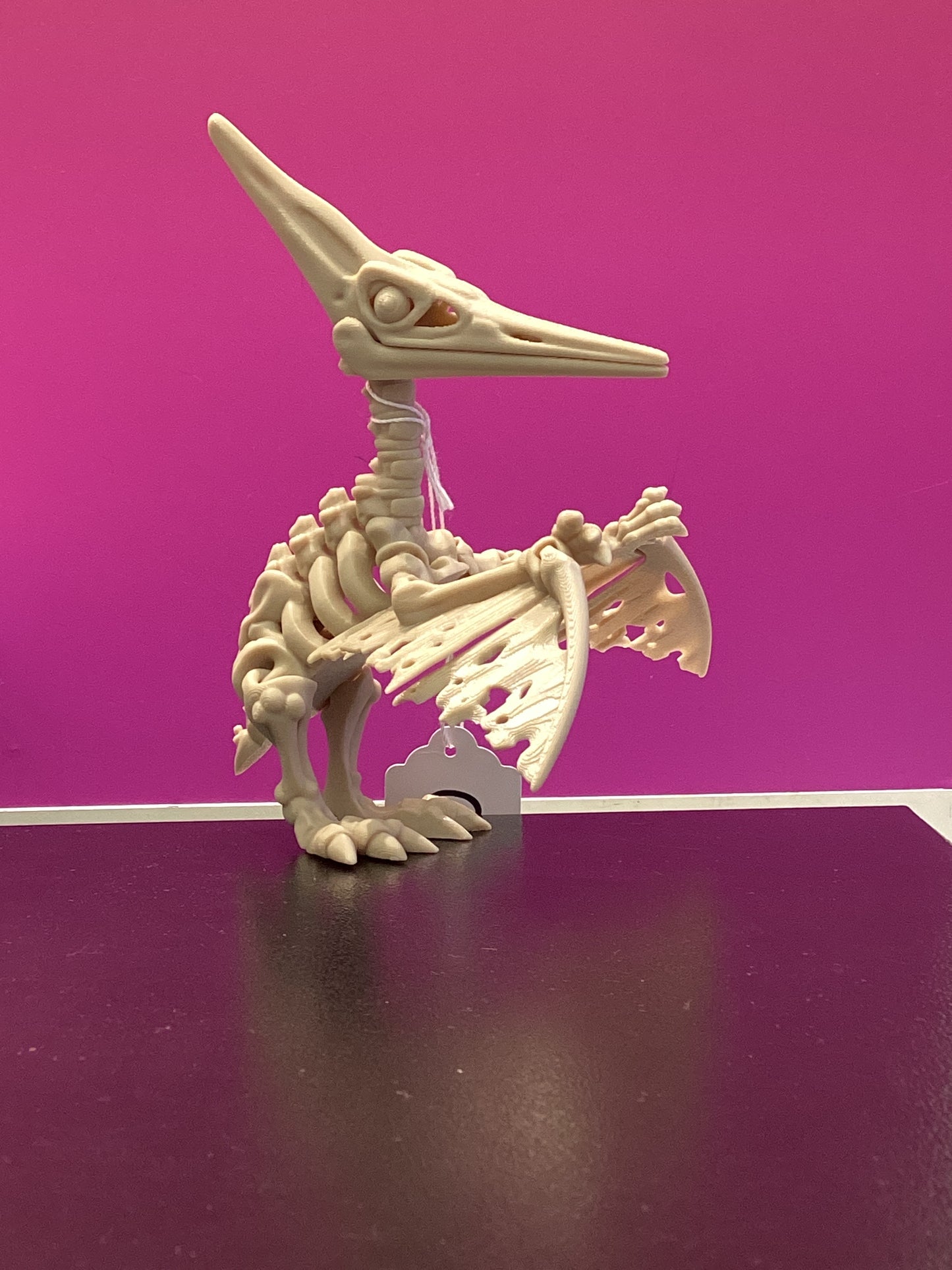3D Printed Skeletons
