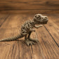 3D Printed Skeletons