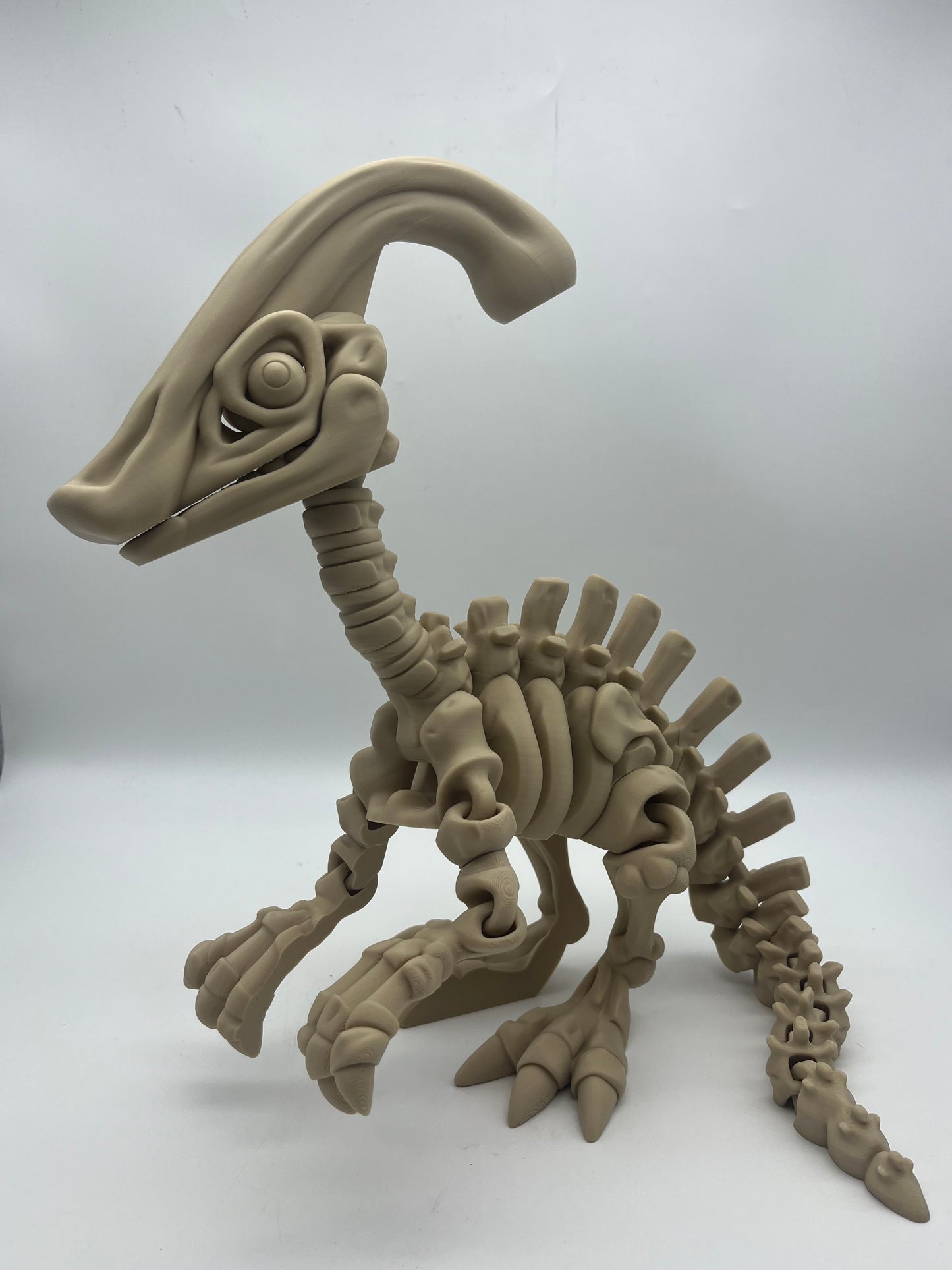 3D Printed Skeletons