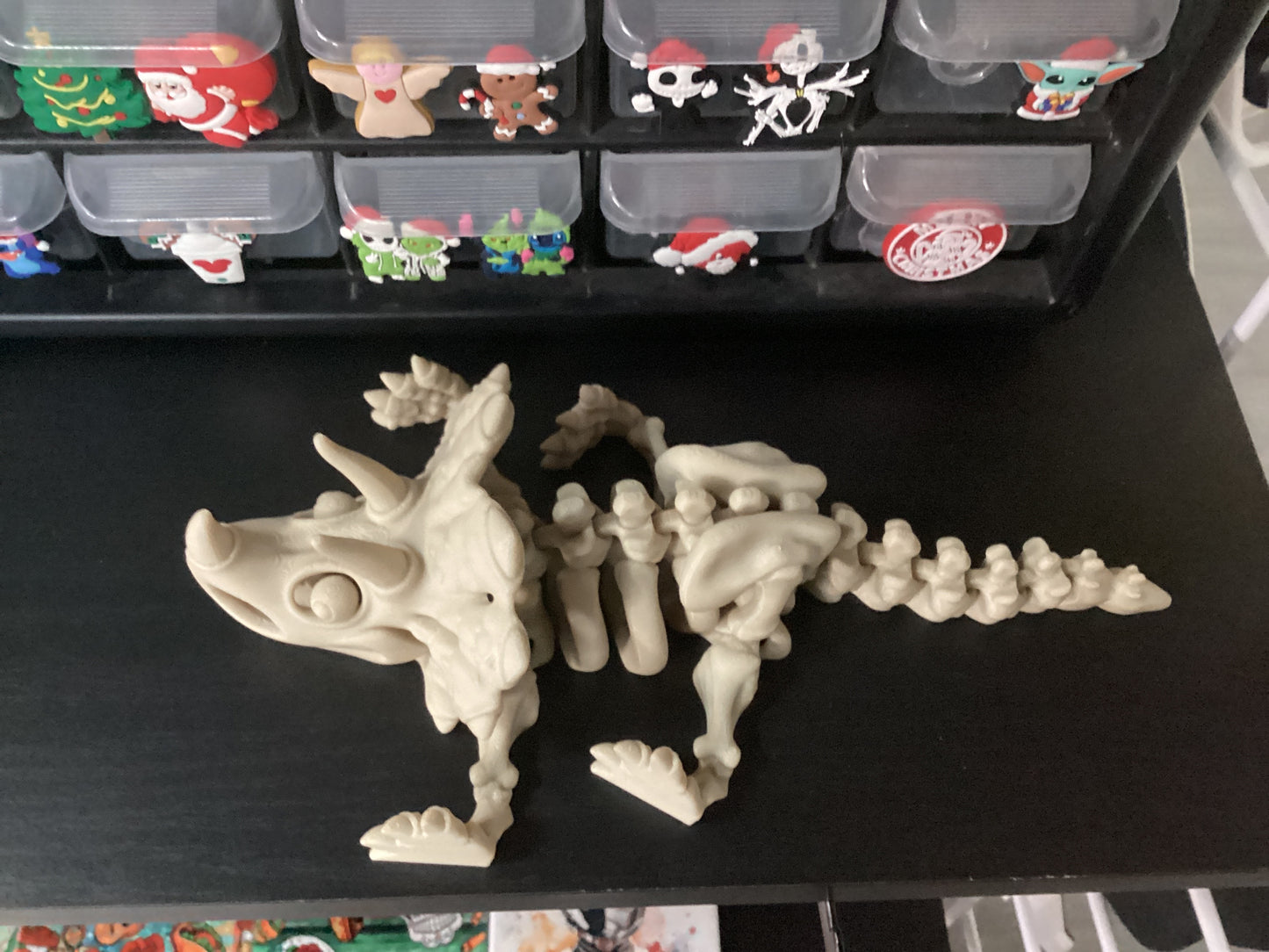 3D Printed Skeletons