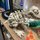 3D Printed Skeletons