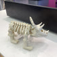 3D Dinosaurs