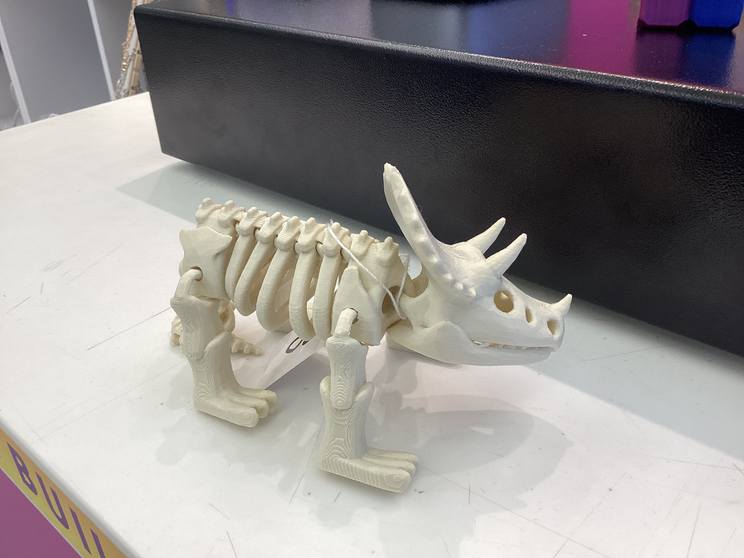 3D Dinosaurs