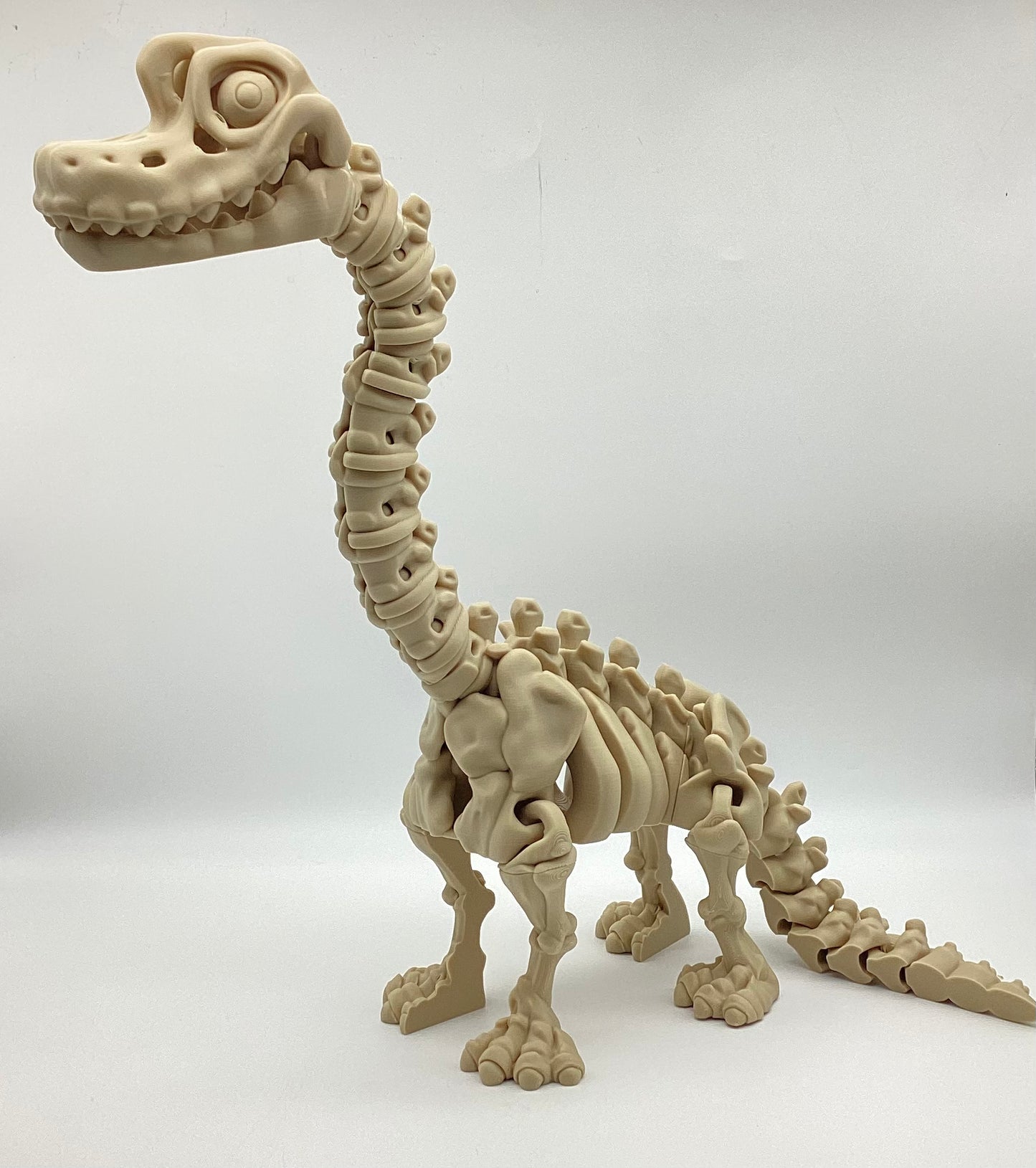3D Printed Skeletons