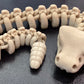 3D Printed Skeletons