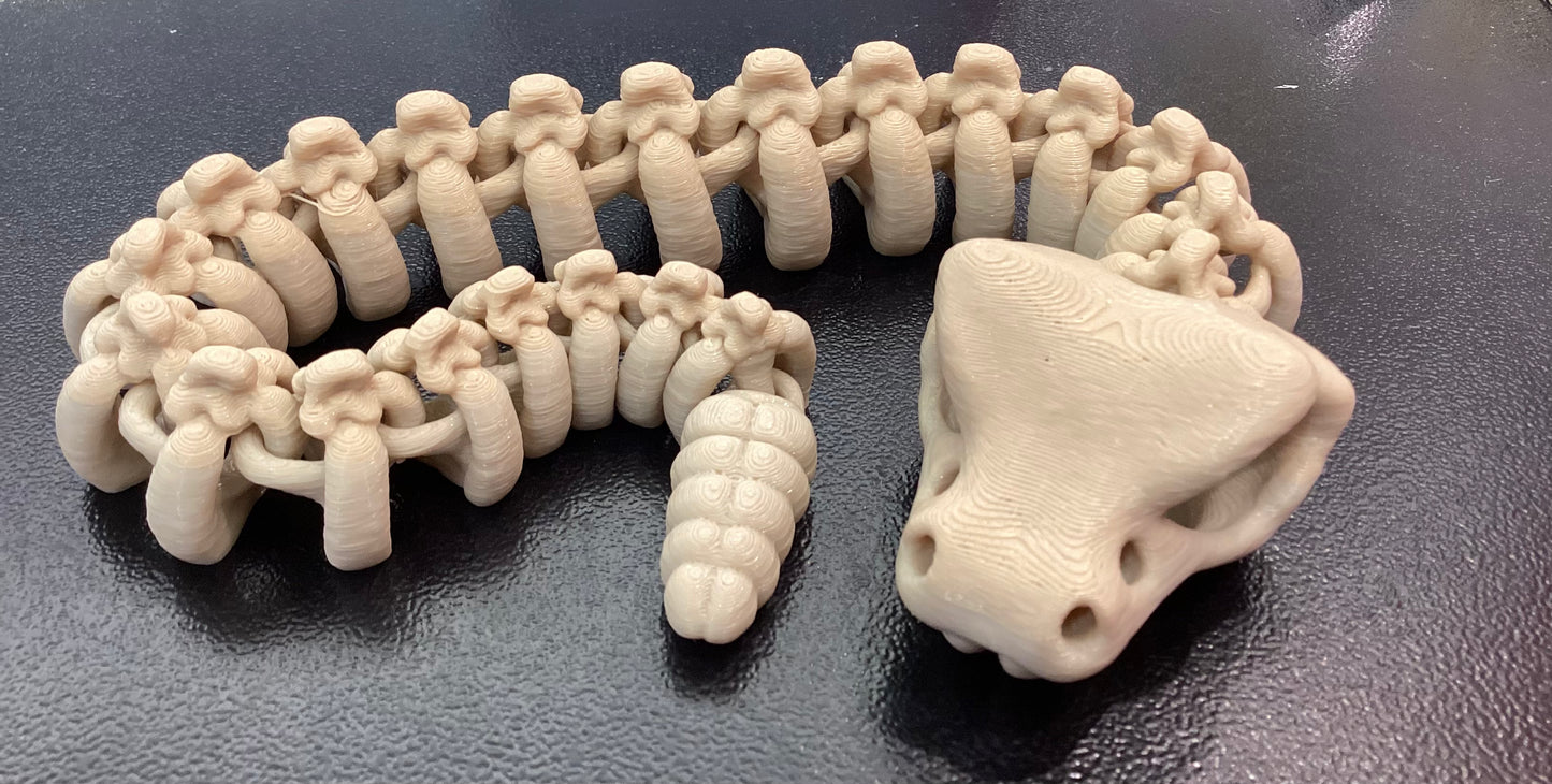 3D Printed Skeletons