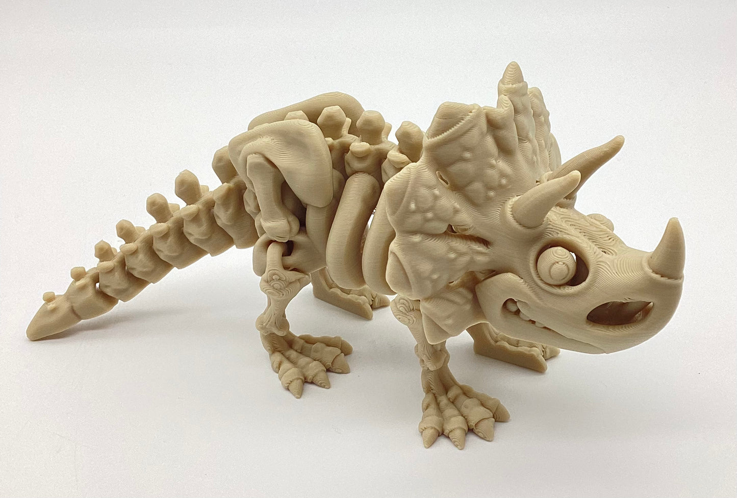 3D Printed Skeletons