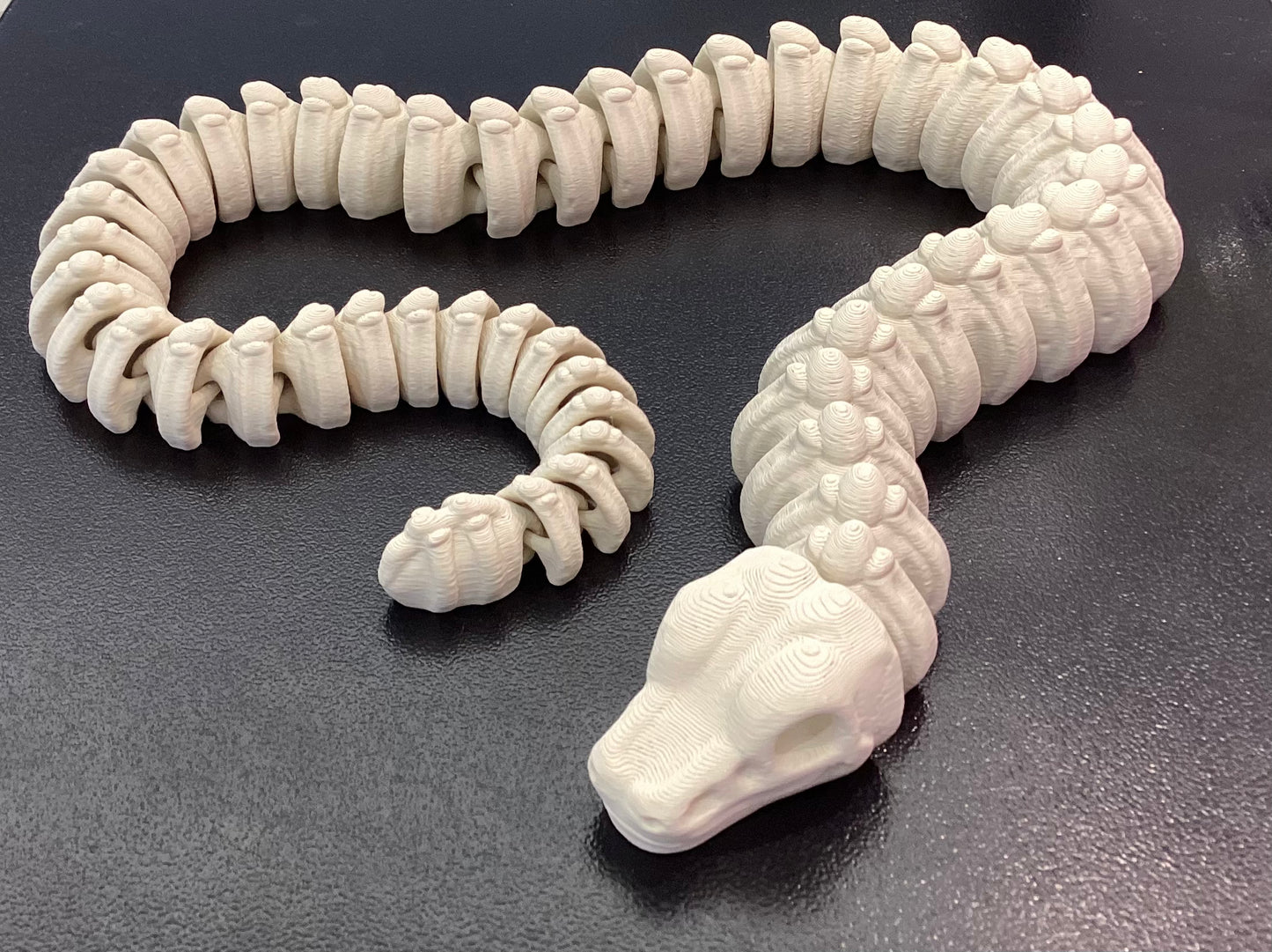 3D Printed Skeletons