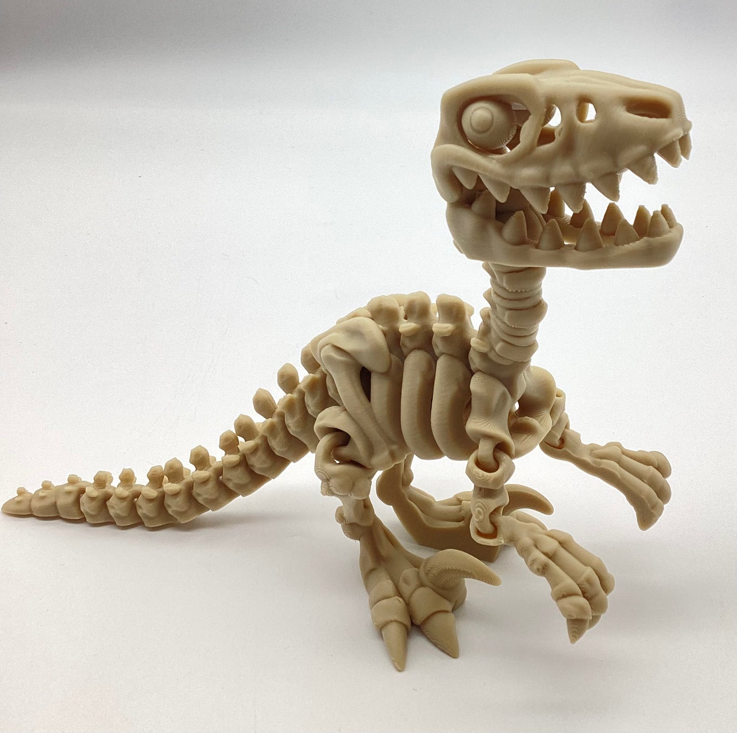 3D Printed Skeletons