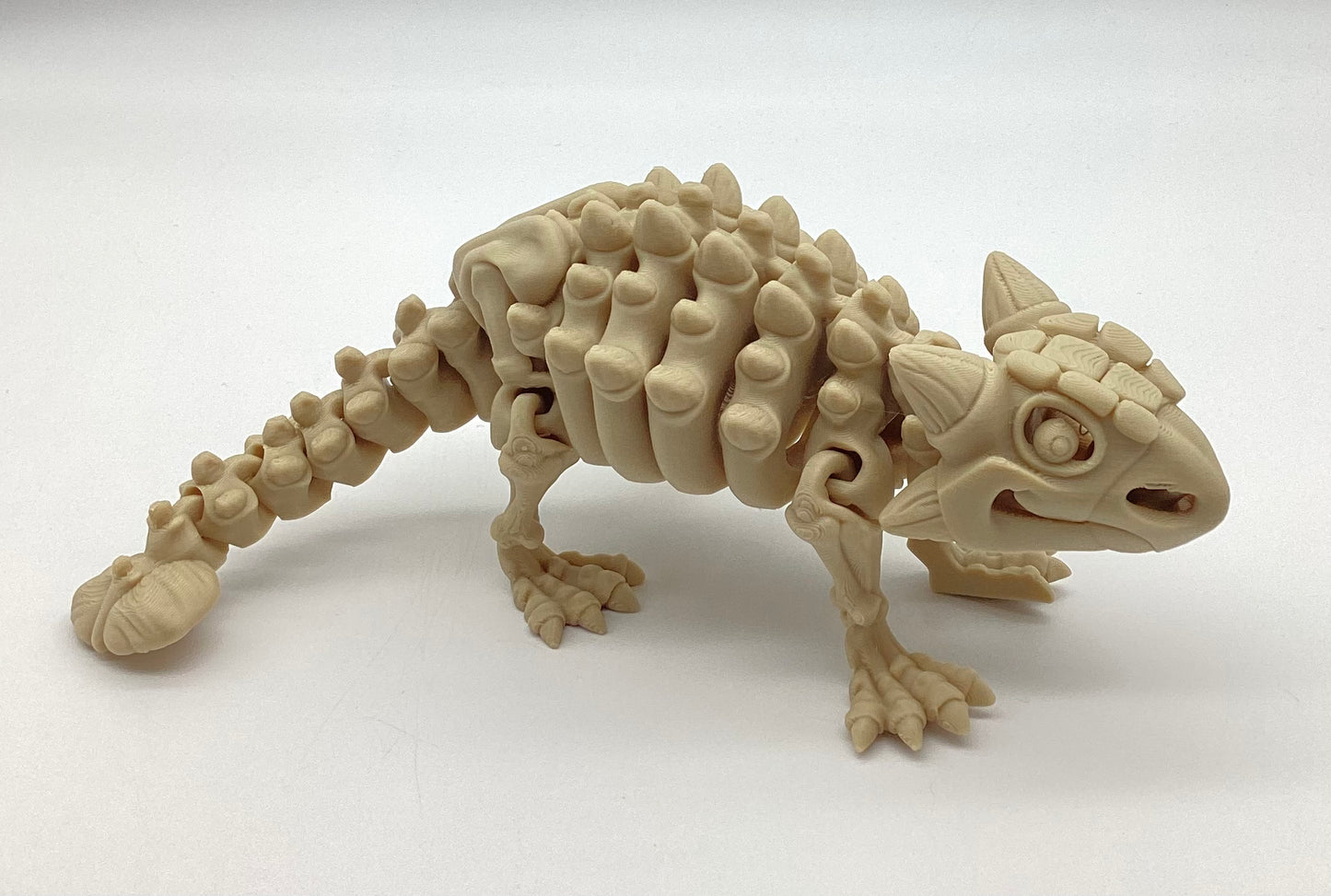 3D Printed Skeletons