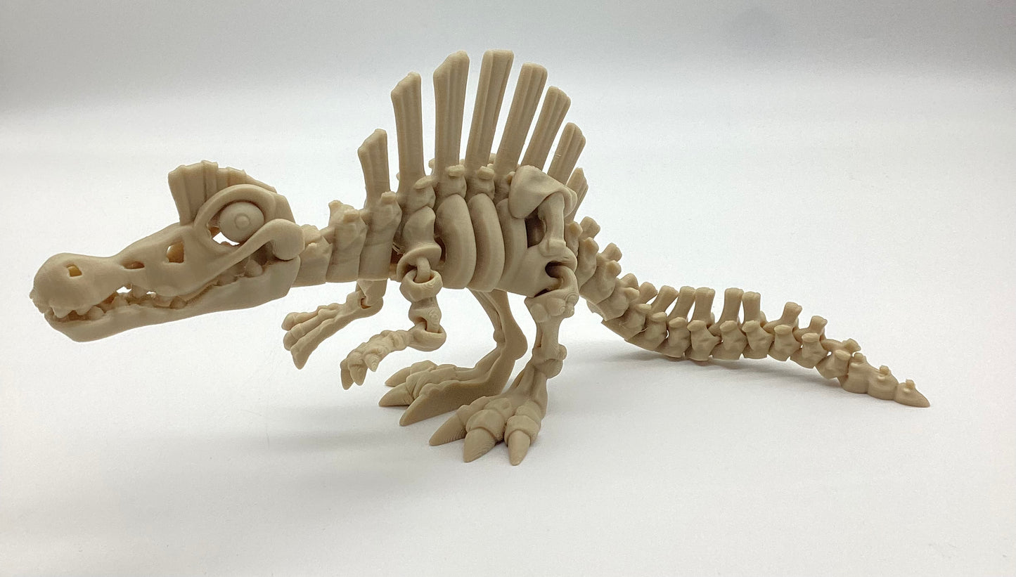3D Printed Skeletons