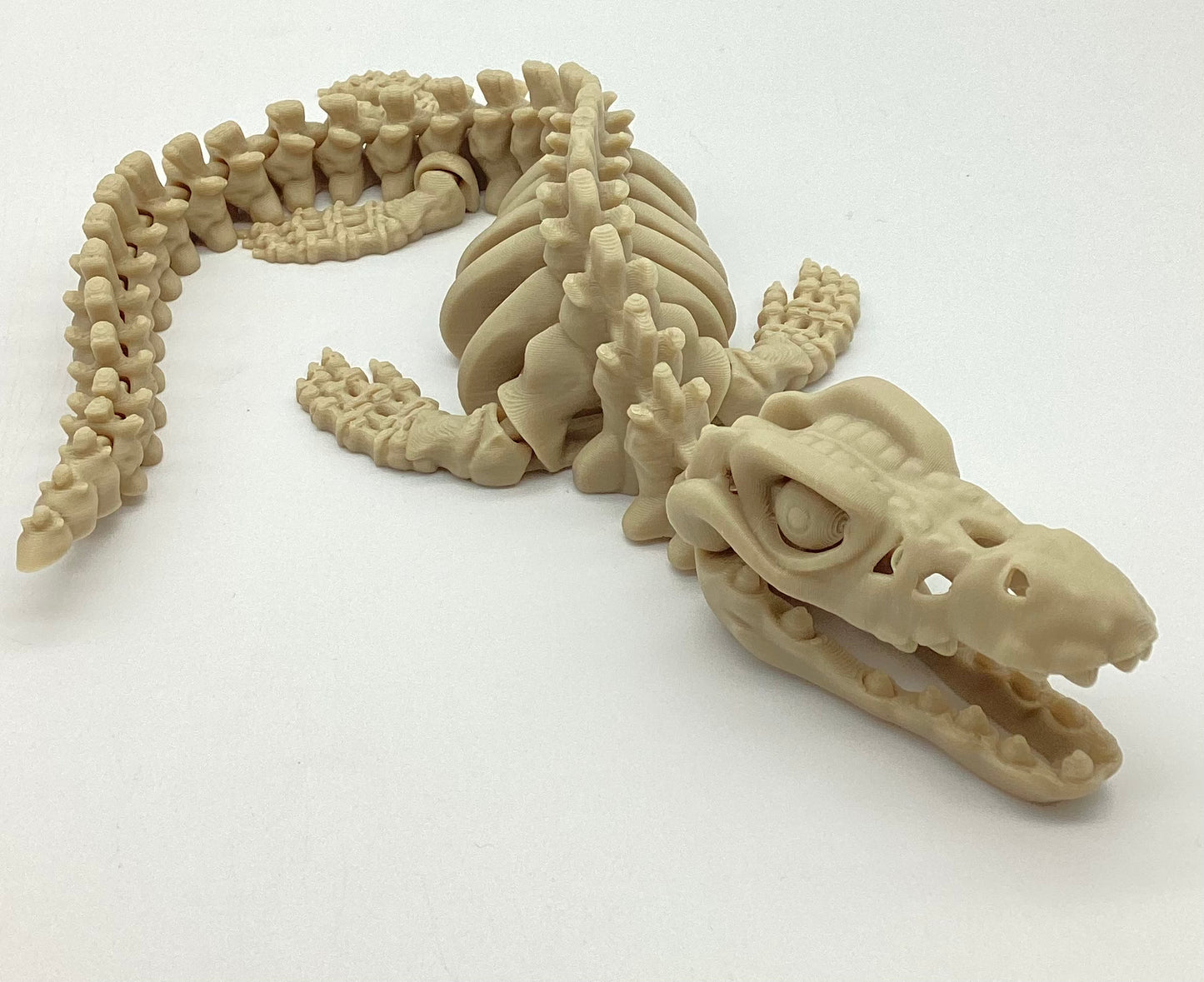 3D Printed Skeletons