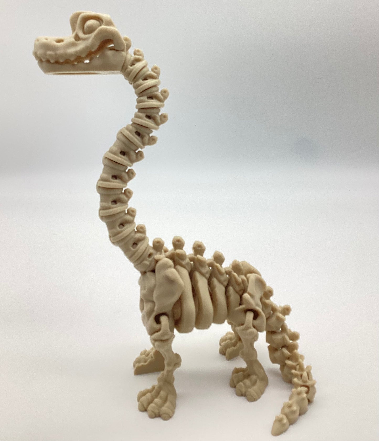 3D Printed Skeletons
