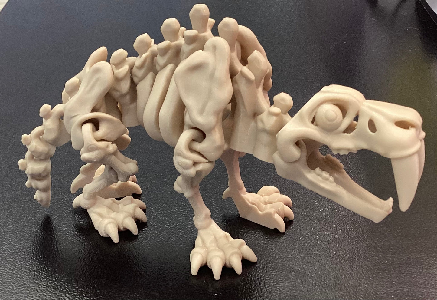 3D Printed Skeletons