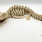 3D Printed Skeletons