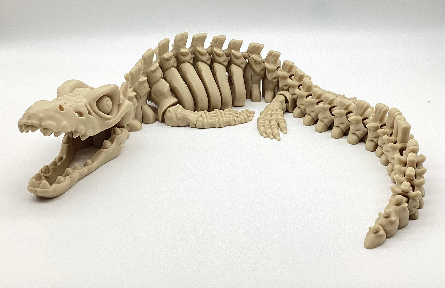 3D Printed Skeletons