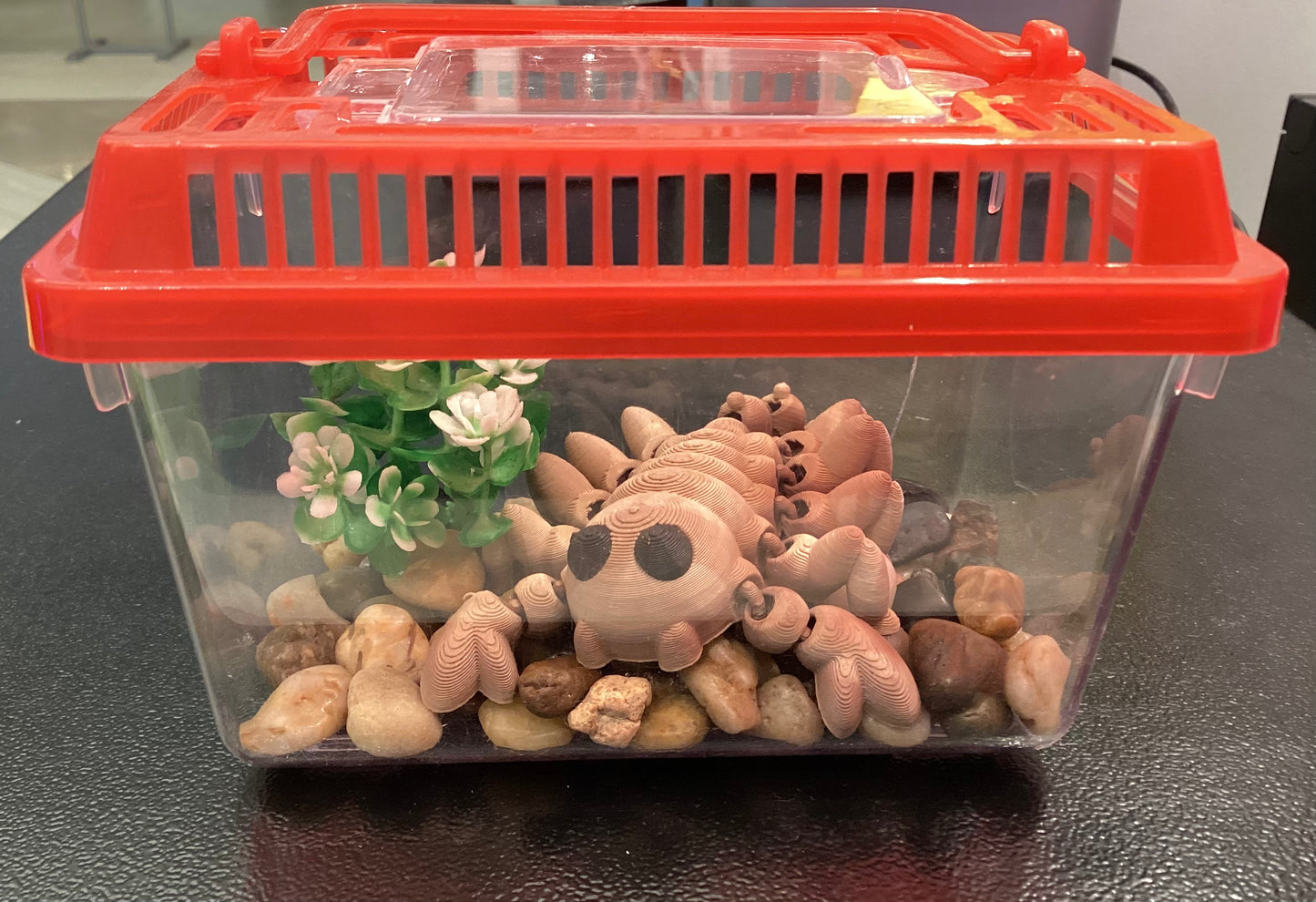 Terrariums