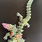 3D Dragon & Dinosaur Toy